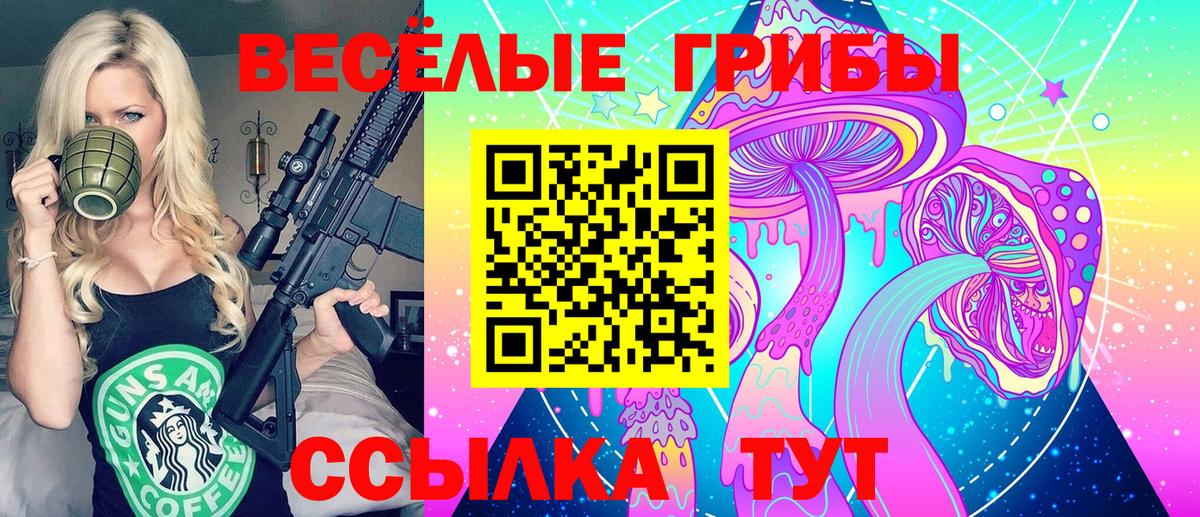 Псилоцибиновые грибы ЛСД  купить  цена  Вход с VPN  Подольск  Галлюциногенные грибы Psilocybe 
